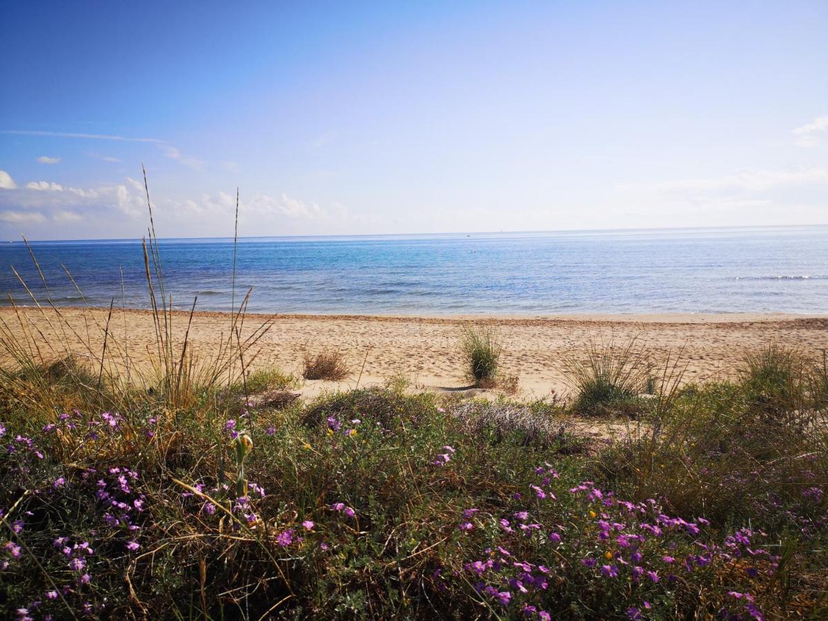 Apartamento Con Vistas Al Mar Oliva Dış mekan fotoğraf