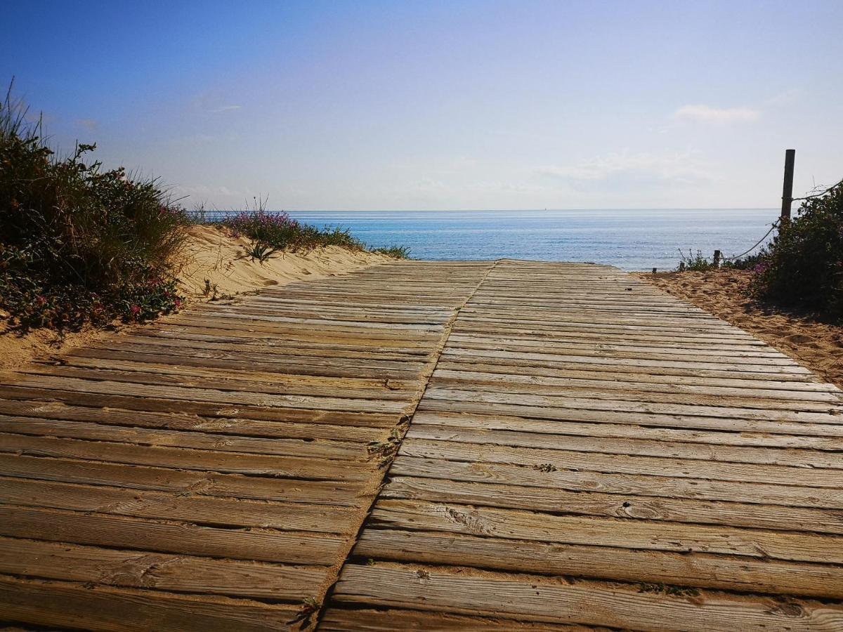 Apartamento Con Vistas Al Mar Oliva Dış mekan fotoğraf